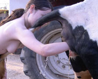 animal movies sex farmers girl with horse goat